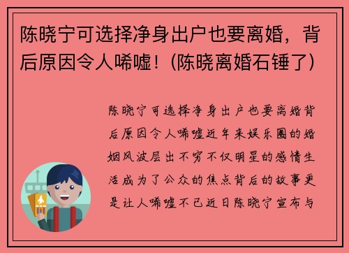 陈晓宁可选择净身出户也要离婚，背后原因令人唏嘘！(陈晓离婚石锤了)